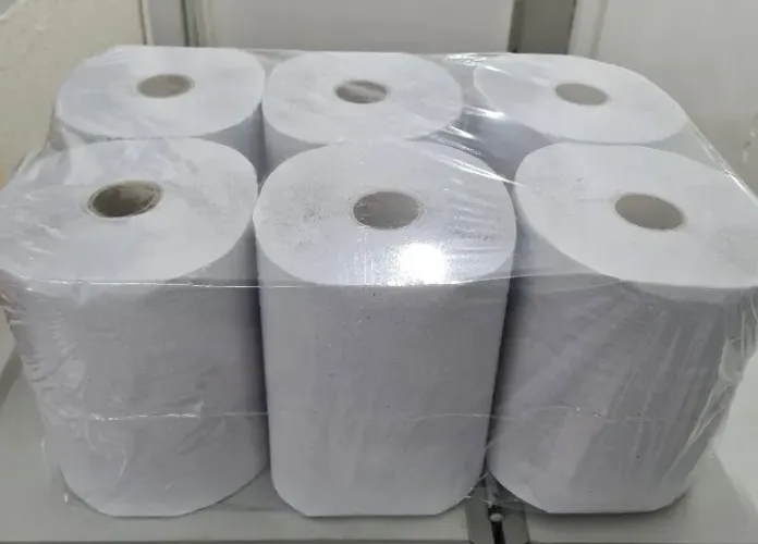 Papel Toalha Bobina 20cm x 200 Mts