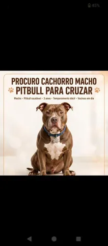 Procura se macho pra cruzar com minha fêmea
