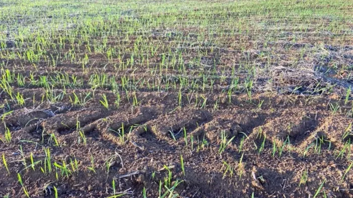 Magnífica Fazenda com 69 Hectares, em Caxambu, Região Super Valorizada de Minas Gerais