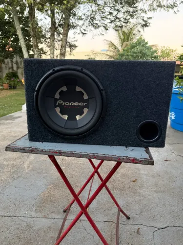 Sub de 12 Pioneer