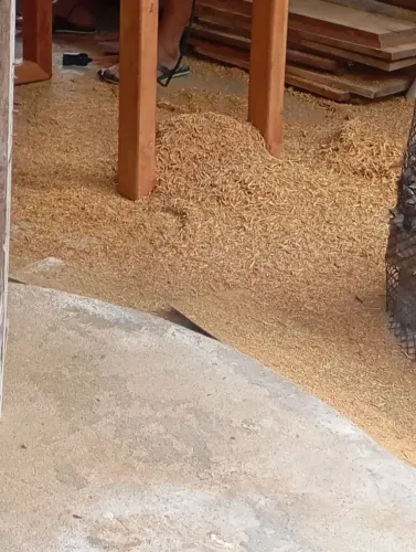 Vendo maravalha de madeira maciça 