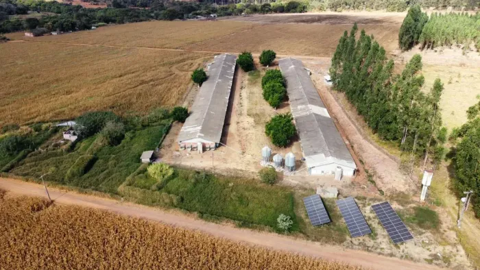 Excelente Negócio Rural em Planaltina-DF | Granja para 44 Mil Aves + Energia Solar + Água