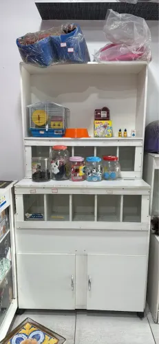 Expositor e sementeira Pet shop