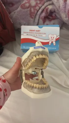 Manequins odontológicos
