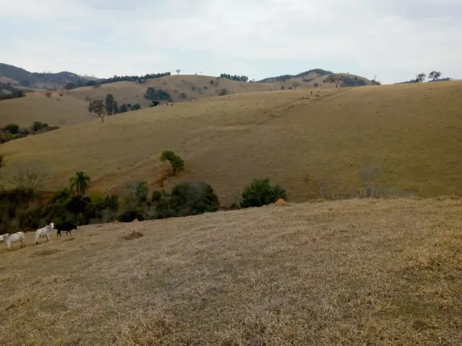 Sitio à venda em Cambuí-MG, bairro Zona Rural: 3 quartos, 2 salas, 1 banheiro, 2 vagas de 