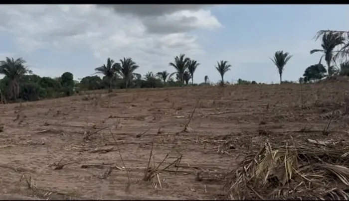 Terreno em Olinda Nova do Maranhão
