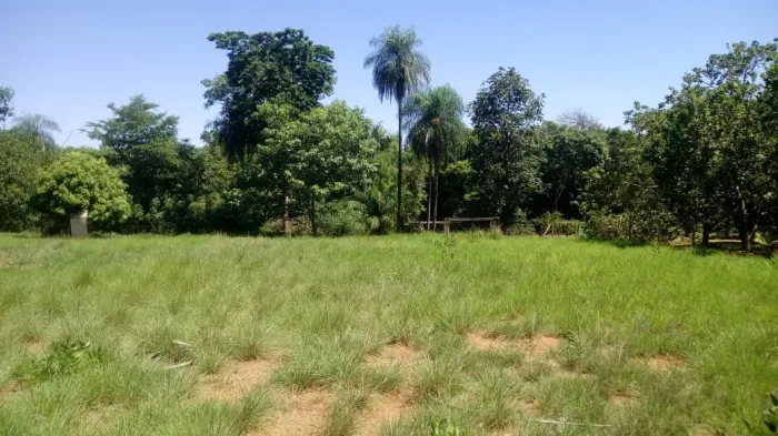 Chácara com ótima estrutura em Rochedo Ms