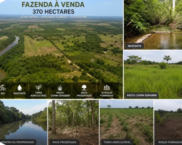 Fazenda Sítio a Venda em Tutoia - MA