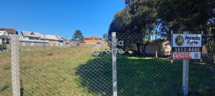 TERRENO, SANTA FELICIDADE/BUTIATUVINHA, 705,34 M2, PLANO, LINDO CAMPO, PARA CONSTRUIR UMA