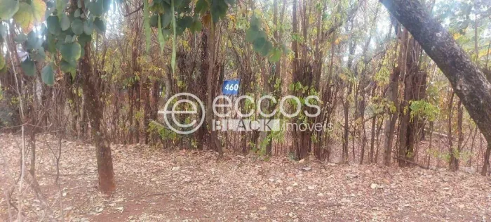 Terreno em condomínio à venda, Jockey Park - UBERABA/MG