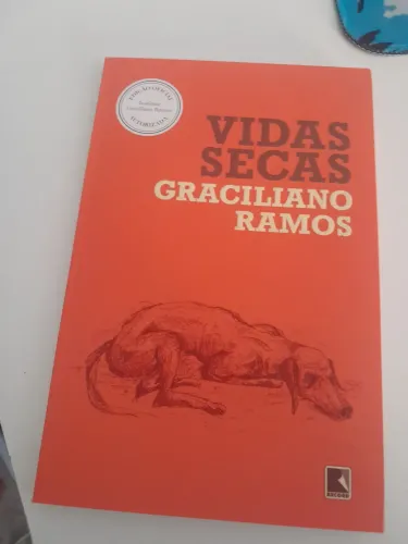 Livro paradidatico VIDAS SECAS