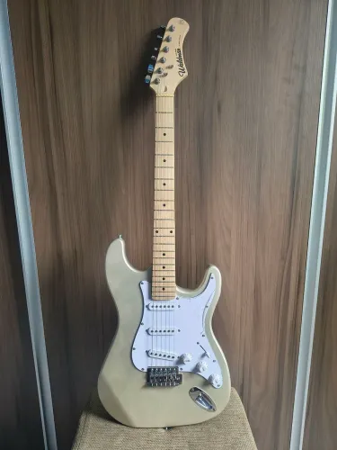 Guitarra Waldman