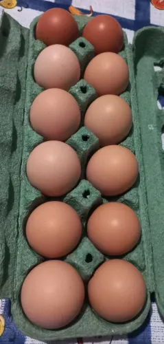 Doce de abóbora caseiro e ovos caipira