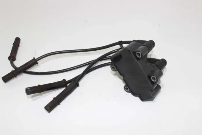 Bobina De Ignição Renault Sandero Logan Clio 224336134r