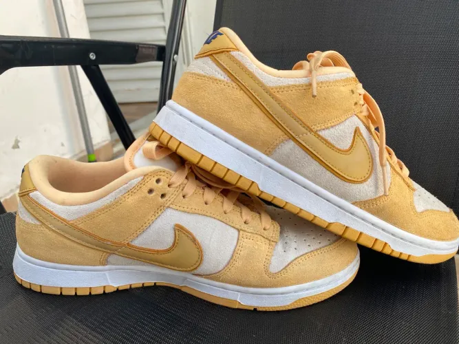 Nike Dunk low (camurça)  