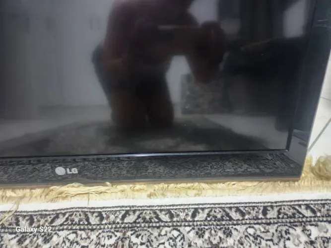 Tv LG 32' excelente estado, funcionando perfeitamente. Desapegando em função de mudan