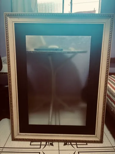 Vendo quadro/moldura para foto