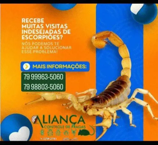 DEDETIZAÇÃO #PORTA ISCAS P/RATOS