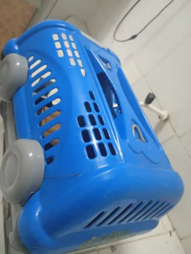 Casinha pet