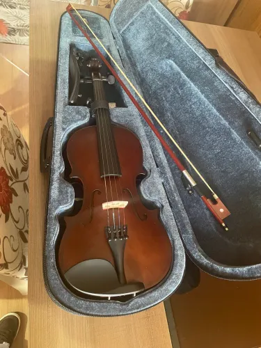 Violino