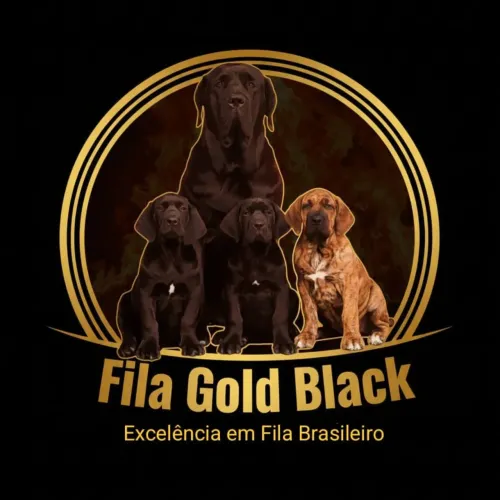 FILA BRASILEIRO DISPONÍVEL PEDIGREE CBKC