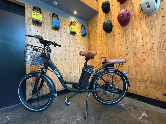 LEV E BIKE L (ARO 24)