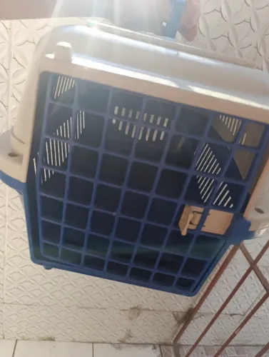 Caixa transporte gato e cachorro