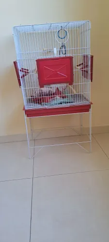 Gaiola viveiro calopsita e outros.