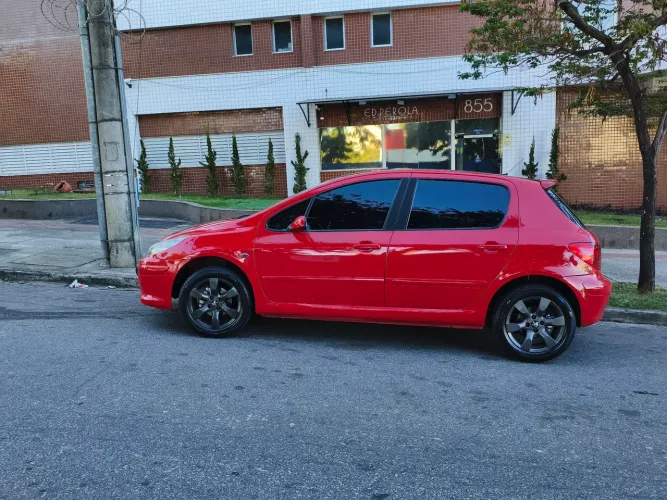 Peugeot 307 Soleil/ Presence 1.6/1.6 Flex 16V 5P 2009