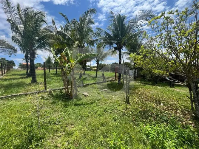 Sítio no Povoado Boa Nova à Venda com 40.837,50 m², Pastagem e Lagoa