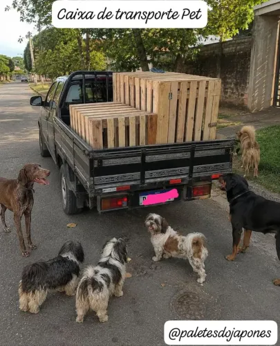 Caixa de transporte Pet viagem