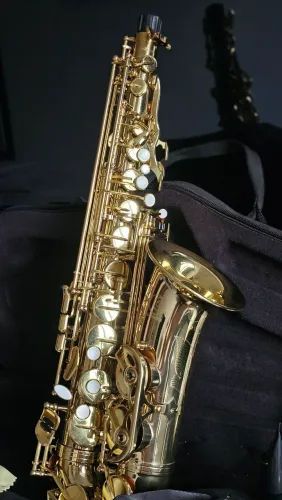 Saxofone Alto Eb Harmonics HAS-200L Laqueado - Estado de Novo