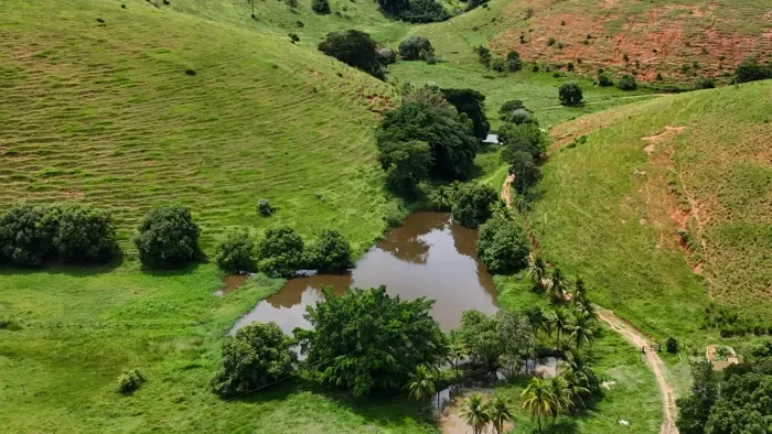 Oportunidade Única: Fazenda de Alta Produtividade agropecuária.