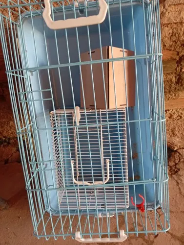 Gaiola coelho, hamsters e outros