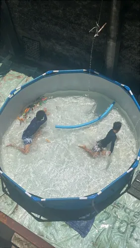 Piscina de 5 mil litros usada apenas 1 vez