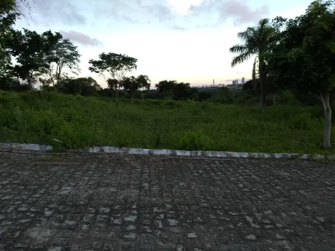 Terreno 12x30m (300m2) plano em rua calçada 