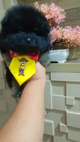 Que lindo presente ?