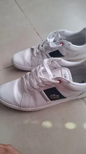 Sapatênis lacoste n44