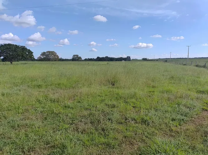 Fazenda á venda Próximo a Gurupi 