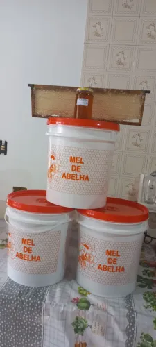 Apicultura