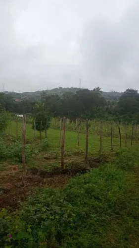 OPORTUNIDADE! LOTE À VENDA EM SÍTIO NOVO  CATU A partir de 300m