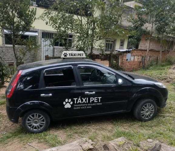 Táxi cão juíz de fora mg região