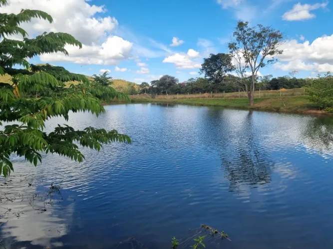 Fazenda pertinho da BR 060