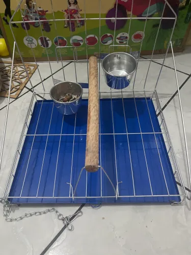 Poleiro para calopsita