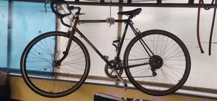 Bicicleta Peugeot 10