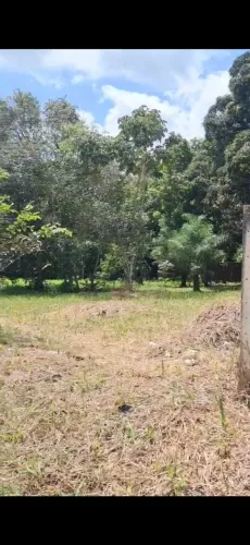 Vendo Terreno 10x30