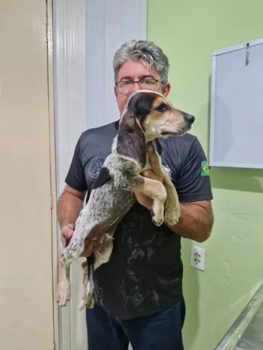 Rastreador Brasileiro