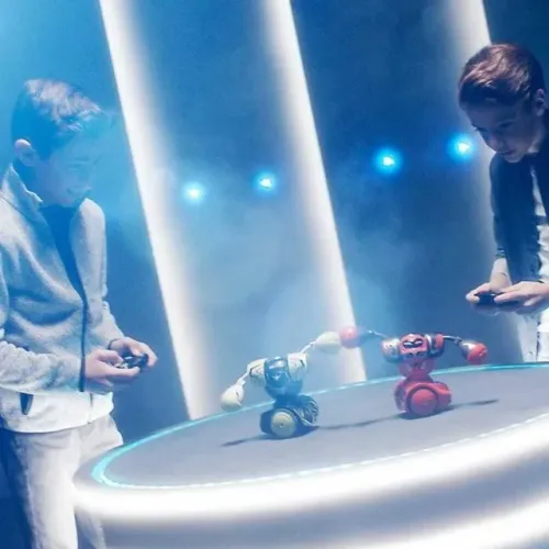 Robô Combate 2 Robôs De Batalha Com Punho De Força Fun 791