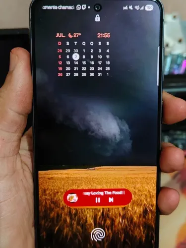 Celular S21 FE 5G Preto 6/128