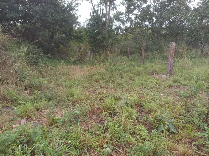 Vende se uma terra no povoado cajueiro de Ernesto